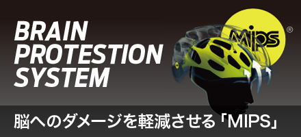 GIANT MIPS HELMET COLLECTION