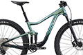 PIQUE ADVANCED PRO 29ER
